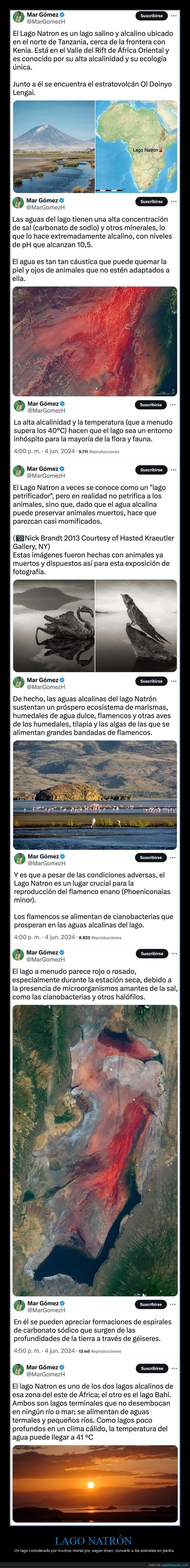 lago natrón,animales,piedra