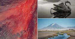 Enlace a El inquietante Lago Natrón, también conocido como el lago petrificador