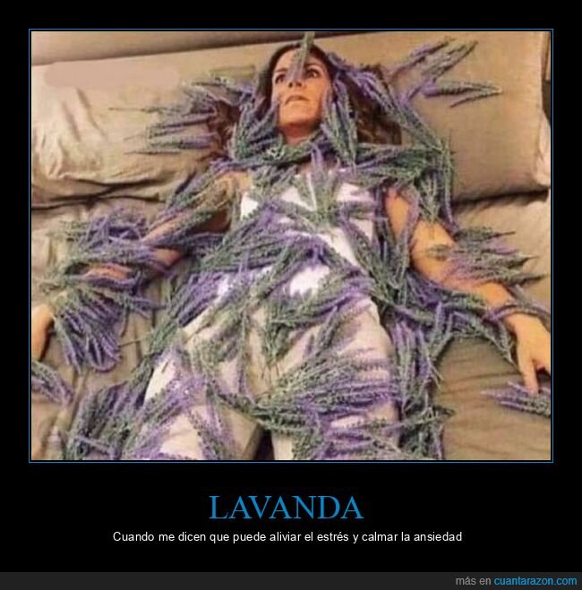 lavanda,estrés,ansiedad