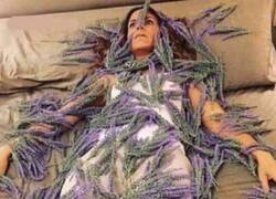 Enlace a Terapia de choque