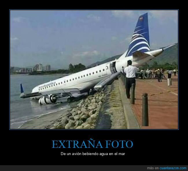 agua,avión,bebiendo