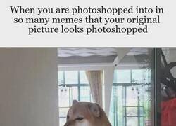 Enlace a La foto original