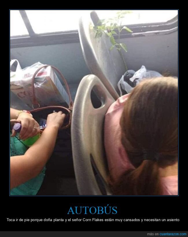 autobús,asientos