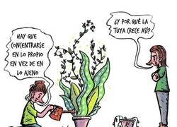 Enlace a No parece estar haciéndole mucho caso...