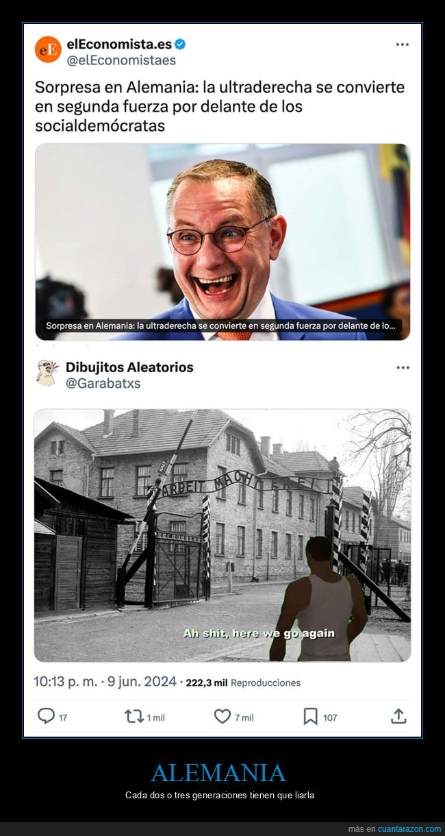 alemania,elecciones europeas,políticos,ultraderecha