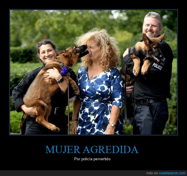 cara,perros,policía