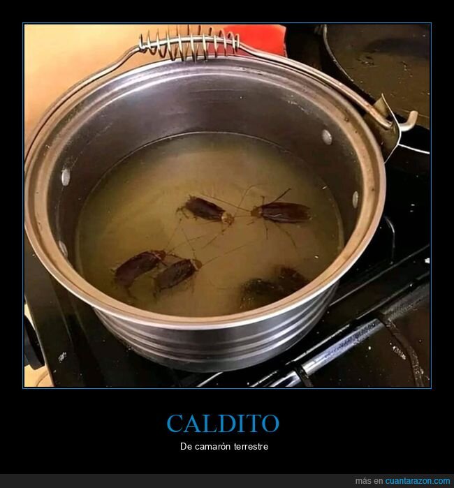 asco,caldo,cucarachas