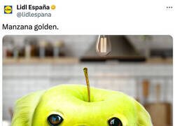 Enlace a Manzana golden retriever