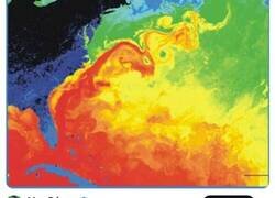 Enlace a ¿Es verdad que una importante corriente oceánica va a colapsar y se aproxima una glaciación?