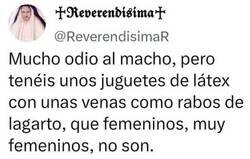 Enlace a Juguetes poco femeninos