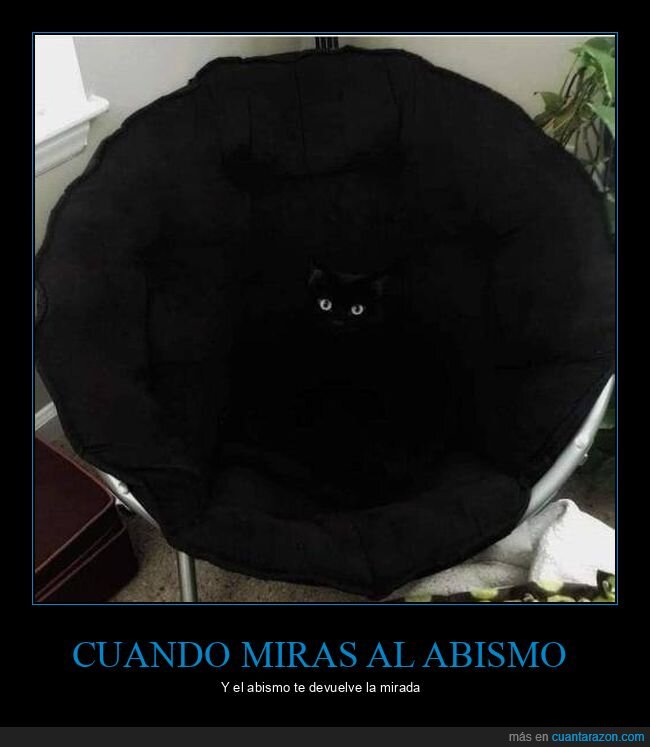 gatos,negro,ojos