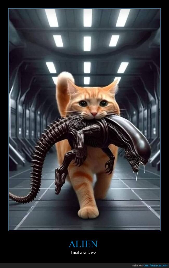 alien,gato