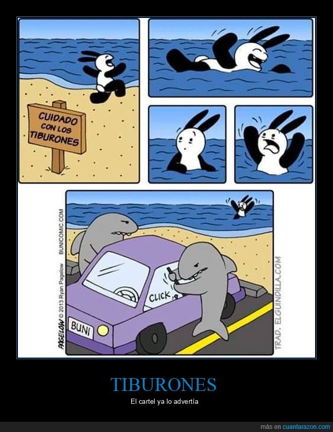 cartel,tiburones,playa,robando,coche