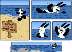 Enlace a El que avisa no es traidor