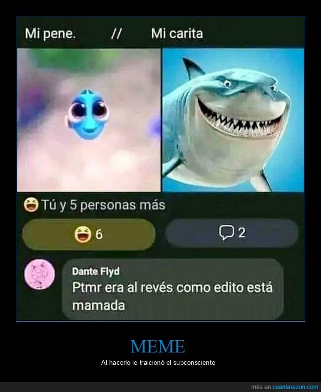 meme,al revés,cara,pez,tiburón