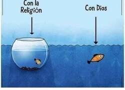 Enlace a Hay una tercera opción