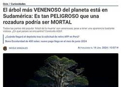 Enlace a El árbol de la muerte