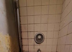 Enlace a La buena vida