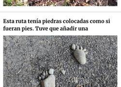 Enlace a Hallazgos tan insólitos como inesperados en mitad del bosque