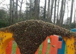 Enlace a Esa pelota se va a quedar ahí...