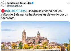 Enlace a Héroe con sotana