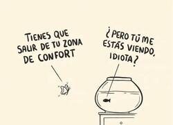 Enlace a Qué fácil es dar consejos...