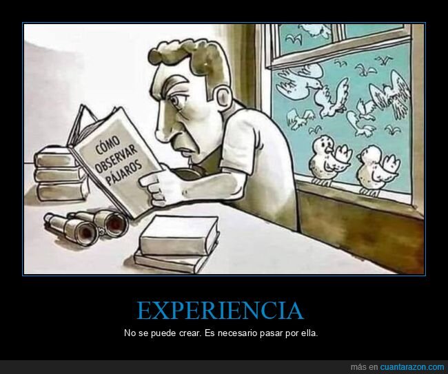 observar,pájaros,libro,ventana