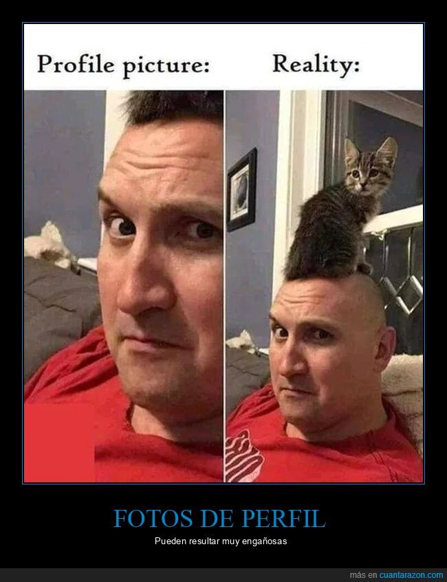 foto de perfil,pelo,gato,calvo