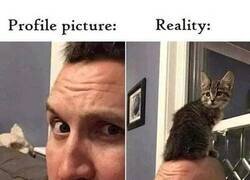 Enlace a Nunca te fíes de la foto de perfil