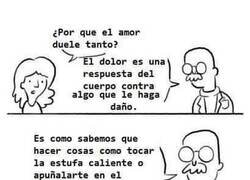 Enlace a El amor duele