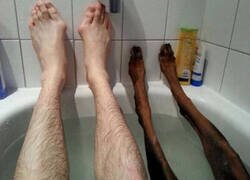 Enlace a Momento relax