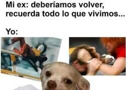 Enlace a Cuando la tóxica te dice de volver