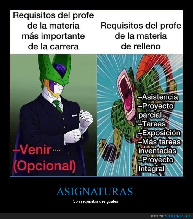 asignaturas,requisitos,importante,relleno,carrera