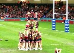 Enlace a Cuando en la pirámide humana falla el vértice