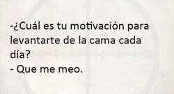 Enlace a Motivación para levantarse