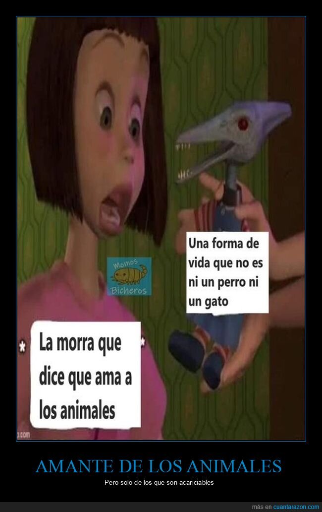 animales,perros,gatos