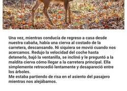 Enlace a Padres geniales que triunfaron con sus acciones épicas