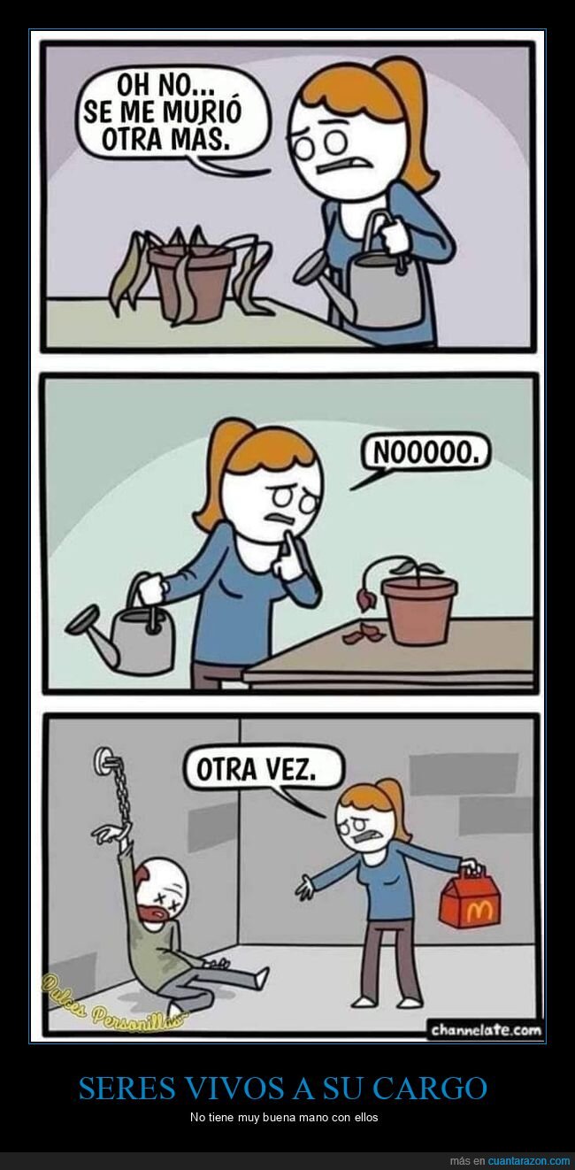 plantas,muertas,muerto