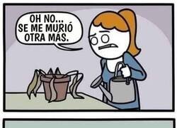 Enlace a No se le da bien el cuidado de seres vivos...