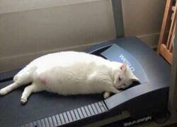 Enlace a Mejor ser body positive