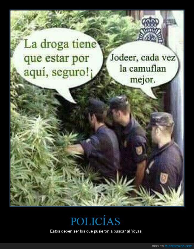 droga,policía,buscando