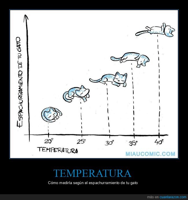 gatos,temperatura