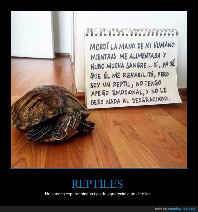 tortuga,mordisco