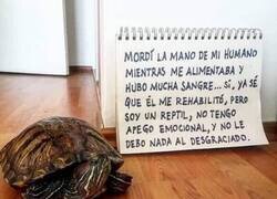 Enlace a Mordió la mano que le da de comer