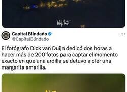 Enlace a Fotógrafos que esperaron pacientemente para capturar la foto de su vida