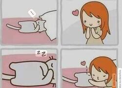 Enlace a Amor felino