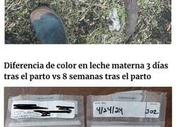 Enlace a Imágenes «bastante interesantes» que te sorprenderán