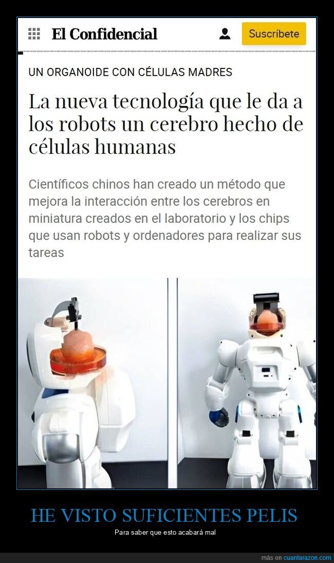 robots,cerebro,células humanas
