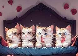 Enlace a Gatitos con mensaje