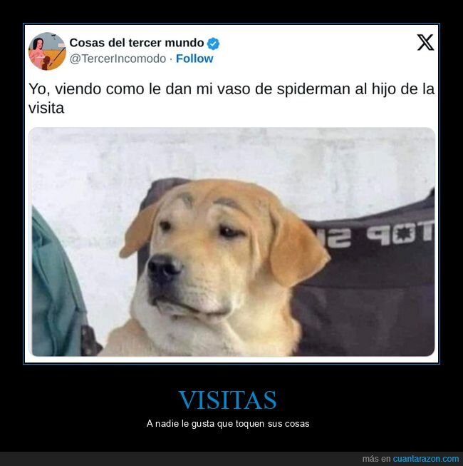 vaso,hijo,visita